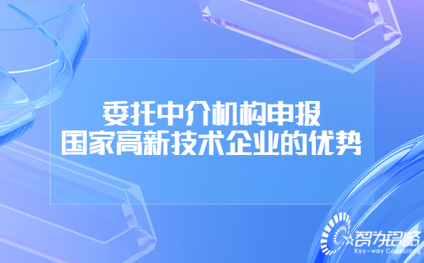 委托中介機(jī)構(gòu)申報(bào)國家高新技術(shù)企業(yè)的優(yōu)勢.jpg
